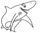 dessin enfant Requins