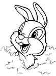 coloriage enfant Bambi