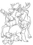 dessin enfant Frere Des Ours