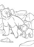 dessin enfant Frere Des Ours