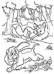 coloriage enfant Rox Et Rouky