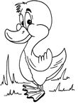 dessin enfant Canards