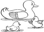 coloriage enfant Canards