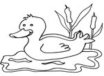 coloriage enfant Canards