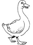 coloriage enfant Canards