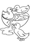 coloriage enfant Canards