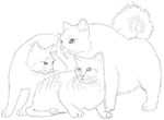 coloriage enfant Chats