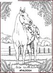 coloriage enfant Chevaux