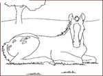 coloriage enfant Chevaux