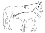 coloriage enfant Chevaux