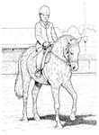 dessin enfant Chevaux