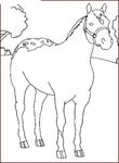 dessin enfant Chevaux