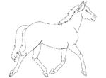 dessin enfant Chevaux