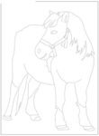 dessin enfant Chevaux