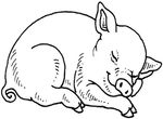 coloriage enfant Cochons