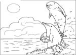 dessin enfant Dauphins