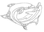 coloriage enfant Dauphins