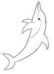 coloriage enfant Dauphins