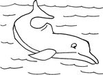 dessin enfant Dauphins