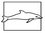 coloriage enfant Dauphins