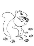 coloriage enfant Ecureuils
