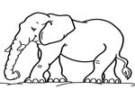 coloriage enfant Elephants