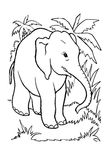 dessin enfant Elephants