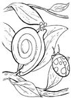 coloriage enfant Escargots