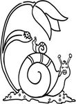 coloriage enfant Escargots