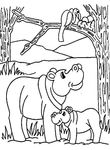 coloriage enfant Hippopotames