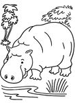 coloriage enfant Hippopotames