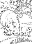 coloriage enfant Hippopotames