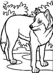 coloriage enfant Loups