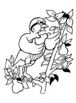 coloriage enfant Oiseaux