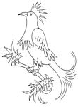 coloriage enfant Oiseaux