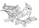 coloriage enfant Oiseaux