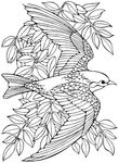 coloriage enfant Oiseaux