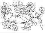 dessin enfant Oiseaux