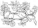 coloriage enfant Oiseaux