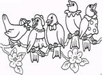 coloriage enfant Oiseaux