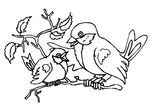 dessin enfant Oiseaux