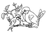 coloriage enfant Oiseaux