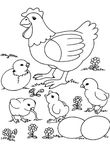 coloriage enfant Poules