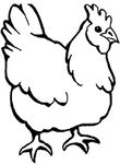 dessin enfant Poules
