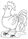 dessin enfant Poules