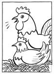 coloriage enfant Poules