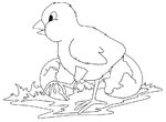 coloriage enfant Poules