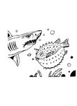 coloriage enfant Requins