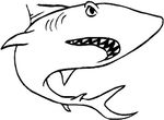 coloriage enfant Requins