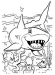 dessin enfant Requins